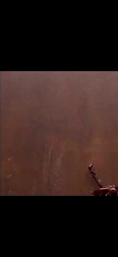 116 days till spooky time #spookytimeiscoming #spookyseason #spookyszn #halloween #halloweencountdown2023 #halloweencountdown #halloween2023 #spooky #spooktember #scary #food #fyp