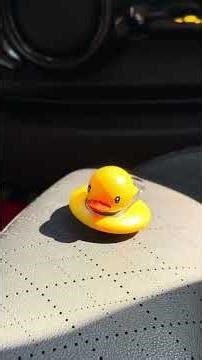 🦆 A playful touch to your MINI! #minicooper #f56 #f55 #f57 #countryman