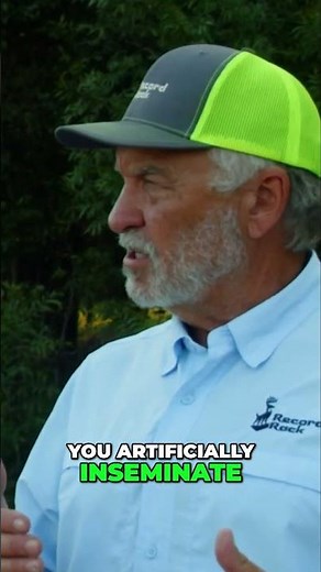 Axis Deer Breeding Secrets! #deerfarming