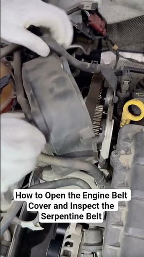 How to Open the Engine Belt Cover and Inspect the Serpentine Belt