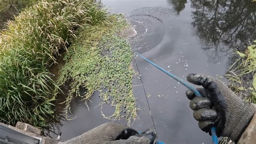 They found fresh guns in the river - then the vultures started gathering nearby