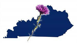 This Flower Is Only Found In Kentucky And Nowhere Else On Earth