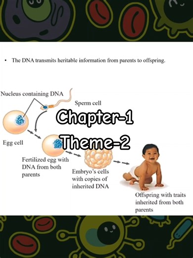 Biology Chapter 1 Theme 2 Overview for Grade 12