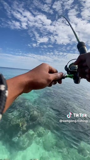 samgong.fishing on TikTok