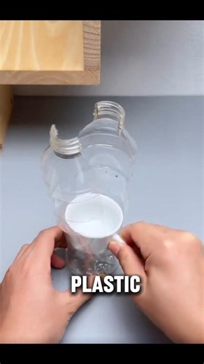 Cup holder #facts #trending #viral