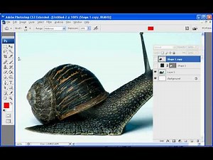 Adobe Photoshop CS3 Tutorial: Pentool Vexeling