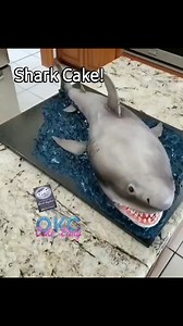 Over 2 foot long shark cake! #cake #sharks #ocean #artist #cakedecorating | OKC Cake Lady