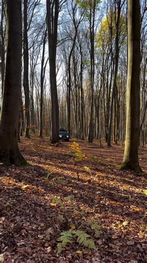 V8 Mercedes Benz G500 - Off Road 😎❤️ #mercedesbenz #mercedes #amg #gclass #g500 #offroad #v8 #v8sound #carporn #suvlife