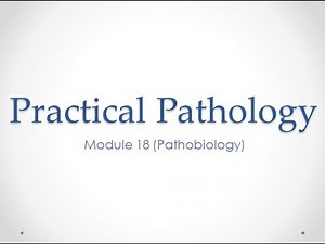 Practical Pathology Slides - Module 18 (Pathobiology)