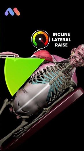 Biomechanical Analysis: Lateral Raise vs. Incline Side-Lying Lateral Raise 🔍🏋️‍♂️