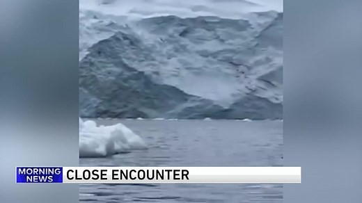 69K views · 1.9K reactions | One penguin 'noped out' of a close call with a predator... | WGN Morning News | Facebook