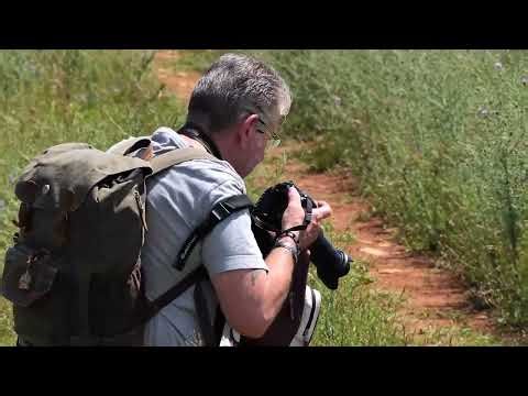 Nikon Z5 II - Honest Review 2026