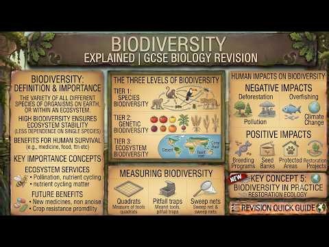 Biodiversity Explained | GCSE Biology Revision
