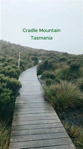 Rainy day hike at Cradle Mountain, Tasmania ☔