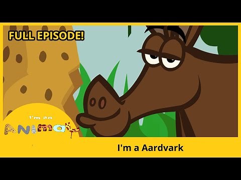 I'm an Aardvark | I'M AN ANIMAL