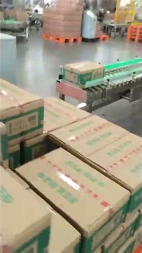 Case Packer Vertically by DD2 Delta Robot