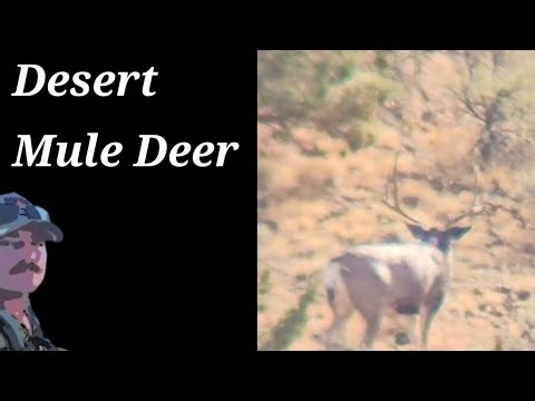 Father & Son Mule Deer Hunt