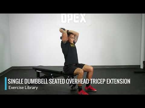 Single Dumbbell Seated Overhead Tricep Extension - OPEX Exercise Library