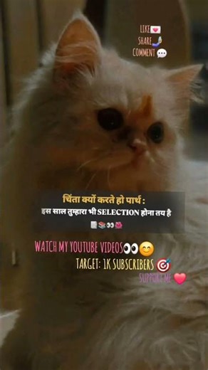 Till the end 👀#learnsmart247 #motivation