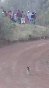 😱😱😱 | Hangar-1