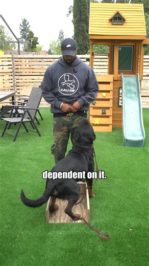 47K views · 1.1K reactions | Don’t wait for a close call to realize...