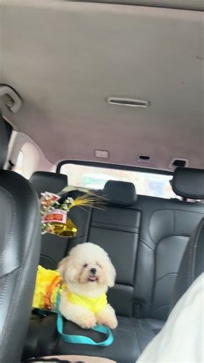 Está resentida ella 🤣