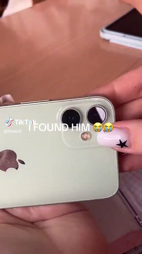 Sad hamster meme 😭 (@Franek) #phone #meme #funny #comedy #relatable #hoest