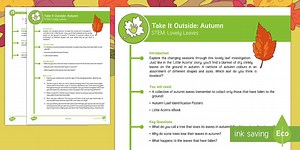 KS1 Take It Outside: Autumn STEM - Leaf Identification Activity