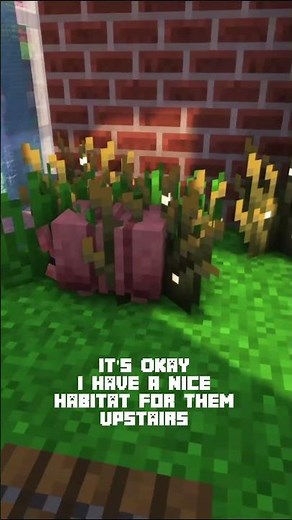 Minecraft Armadillo XP Farm - Don't Worry, I made them a nice habitat upstairs.