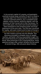 A 2,500-year-old procession of chariots and horses, frozen in time. #history #archaeology #ancienthistory #discovery | Untold Leaks