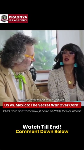 US vs. Mexico: The Secret Trade War Over YOUR Daily Food! 😱🌽