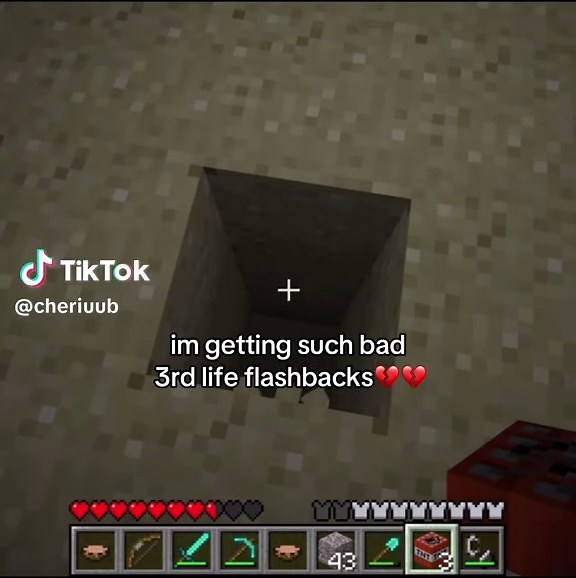 Exploring Minecraft's Third Life Dynamics