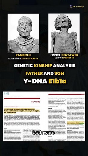 Are Egyptologists Lying About Ancient Egypt?