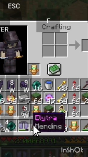 glitched enchantments in 1.21.11 #minecraft #glitch #bug #minecraftgameplay #minecraftgaming