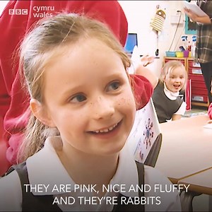 🤗 Take a look at this relaxed approach to learning | BBC Wales News