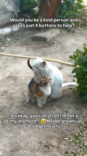 Any interaction helps her story reach the right people who can support our mission. Link in bio