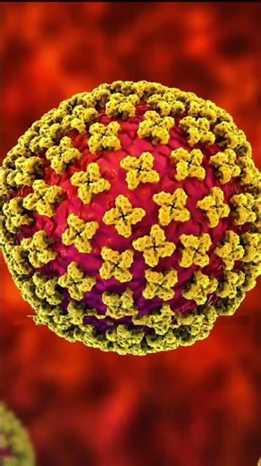 Hantavirus VS Covid 19
