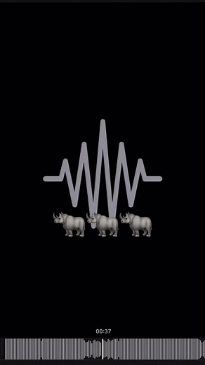 Experience the Rhythms of Guaracha Music