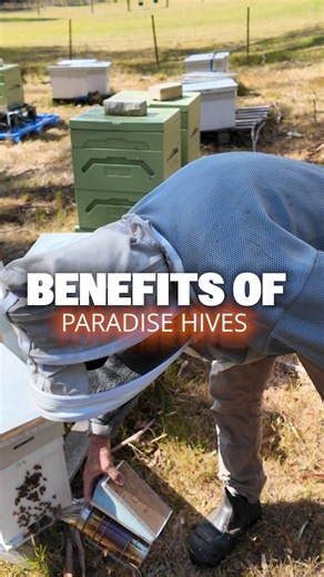 🐝 Tough. Reliable. Proven. The Paradise BeeBox Hive has been perfected through 40 years of beekeeping expertise and tested across the harshest climates — from -50°C to 50°C. Made from food-grade, hardened EPS, these hives are built to last for decades. Learn more 👉:https://buzzbee.com.au/products/paradise-honey-9-frame-full-depth-deep-hive-box-super-body #BuzzbeeBeekeeping #ParadiseHive #BeeBox #BeeKeepingAustralia #BeeKeepingTips #BeeKeepingGear #ApiaryLife #HiveCare #BeeSeason #BeekeepingInn
