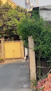 14M views · 124K reactions | Kênh chính chủ của Nguyệt Fake 殺 Mn theo dõi em Nguyệt nha ❤️ #NguyệtFake | Nguyệt Fake | Facebook