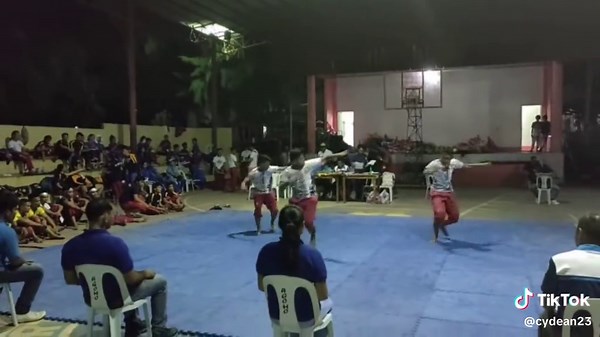 Exploring Arnis: The Filipino Martial Art Highlights