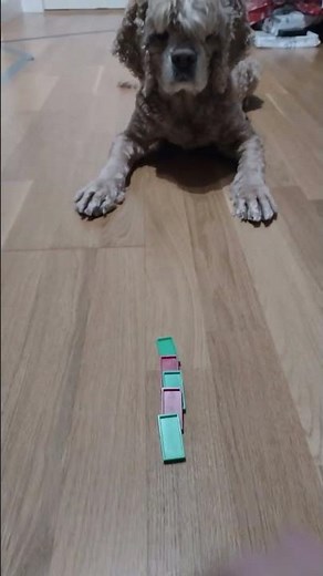 1 to 25 Dominoes (Merry Christmas) (green and red) (Christmas Eve)