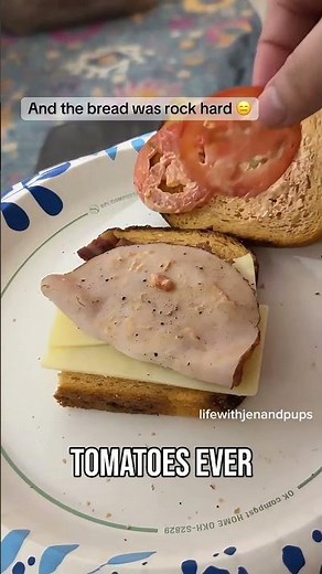 Panera Sandwich Review: $16 for THIS?! #shorts