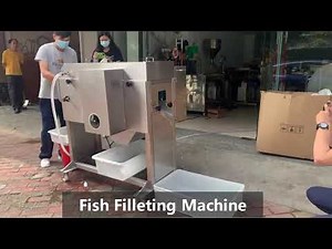 FGB-180 Automatic Salmon Fish Cutting Filleting Machine Fish Debone Machine