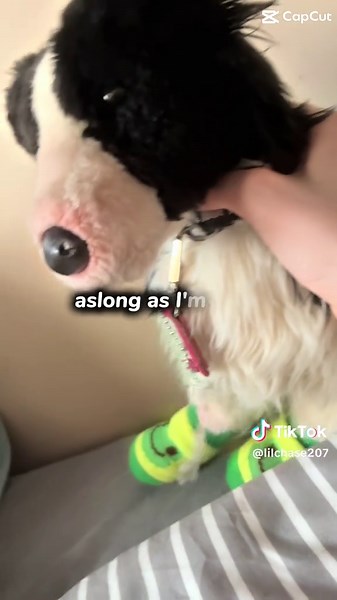 lil&chase (@lilchase207)’s videos with original sound - crazyErin 🪼🦴