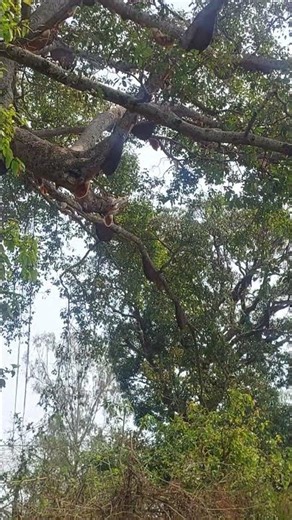 Honey home 🏡 #subscribemychannel