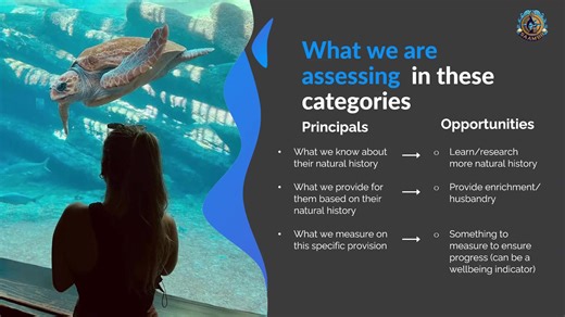 Today's #ABMABehaviorMonth2025 post comes from uShaka Sea World’s Welfare and Wellbeing Program! The field of animal care in zoos and aquariums is in a very exciting phase. Understanding the wellbeing and welfare of animals under managed care at a finer level provides more understanding of the species we care for to better inform care practices and welfare provision. At uShaka Sea World we have developed a formal welfare program over the last decade. The goals of our program, besides ensuring th