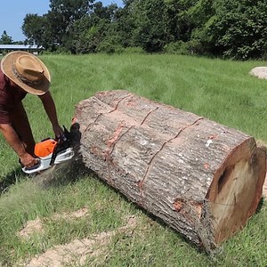 5.1K views · 140 reactions | The Iron Bull dump trailer hauls in massive logs that I need to cut down with my Stihl MS462 #firewood #stihl #dumptrailer #ironbull | The Kelley's country life | Facebook