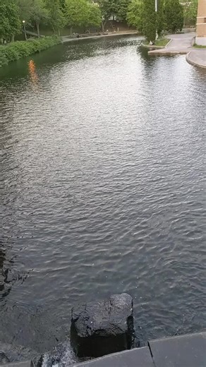 Mendy Marcus (@mendymarcus)’s videos with The Old Us - Hopsin