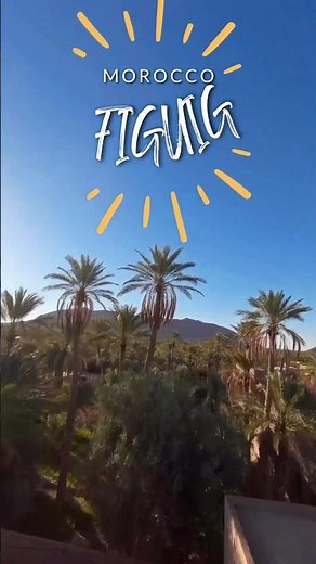 FIGUIG : Morocco's Best-Kept Secret where Rich Culture Meets Exploration #travel #figuig #oasis